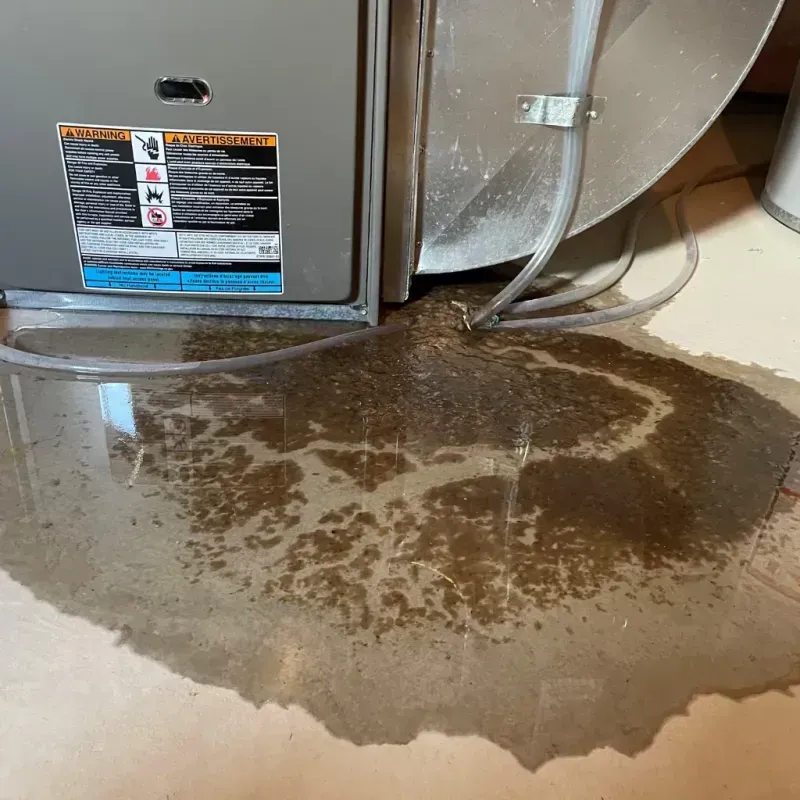 Appliance Leak Cleanup in Thayer, MO